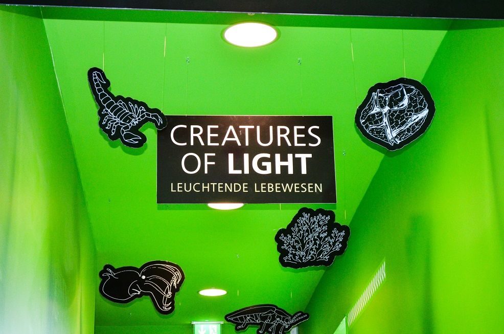 Creatures of Light im Science Center Heilbronn