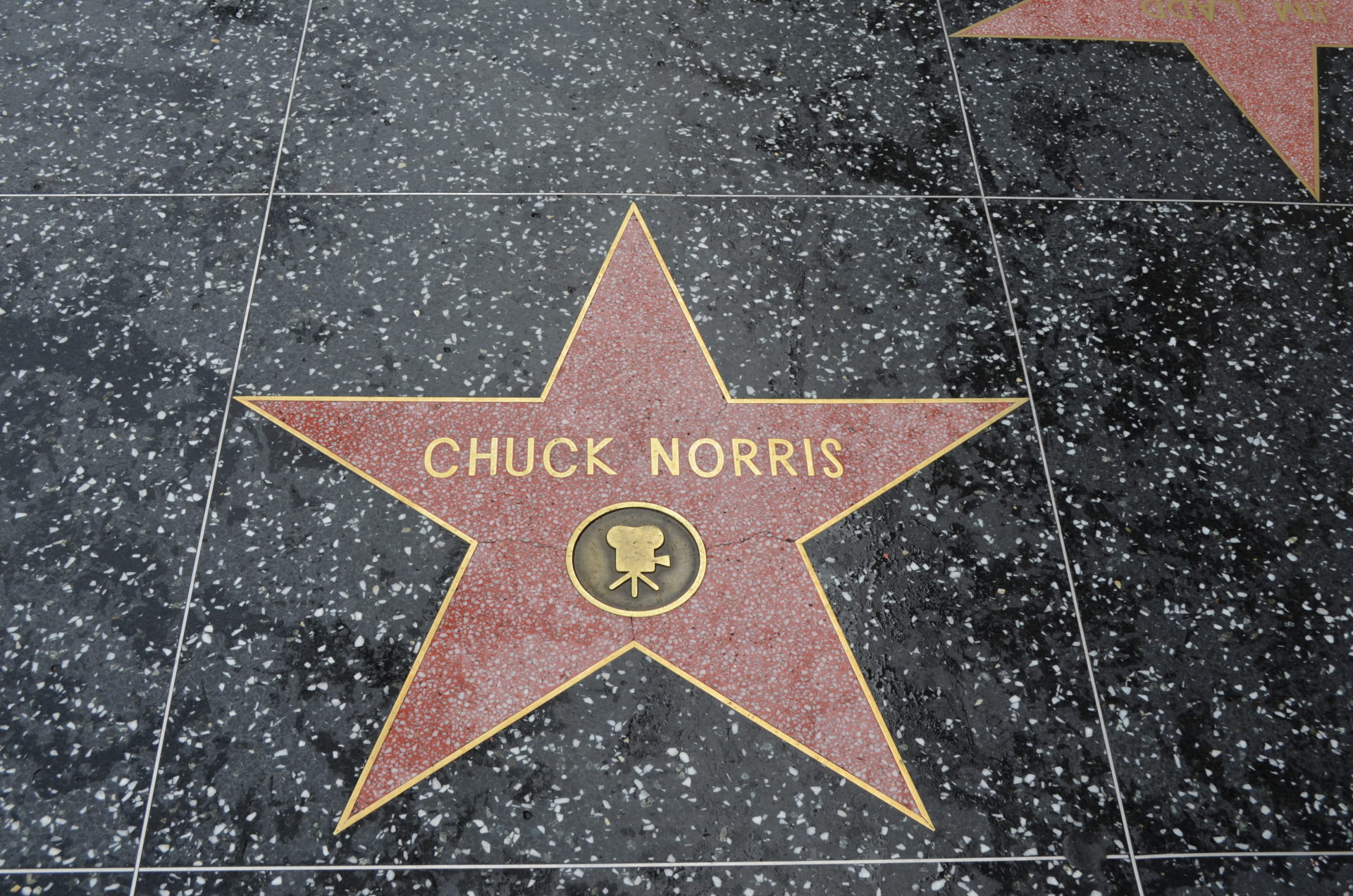 Wie Lang Ist Der Walk Of Fame Walk of Fame | koffergepackt