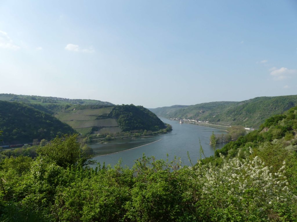 Ausblick auf den Rhein vom Rheinsteig