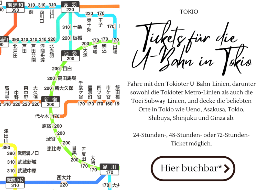 Onlineticket Ubahn Tokio kaufen