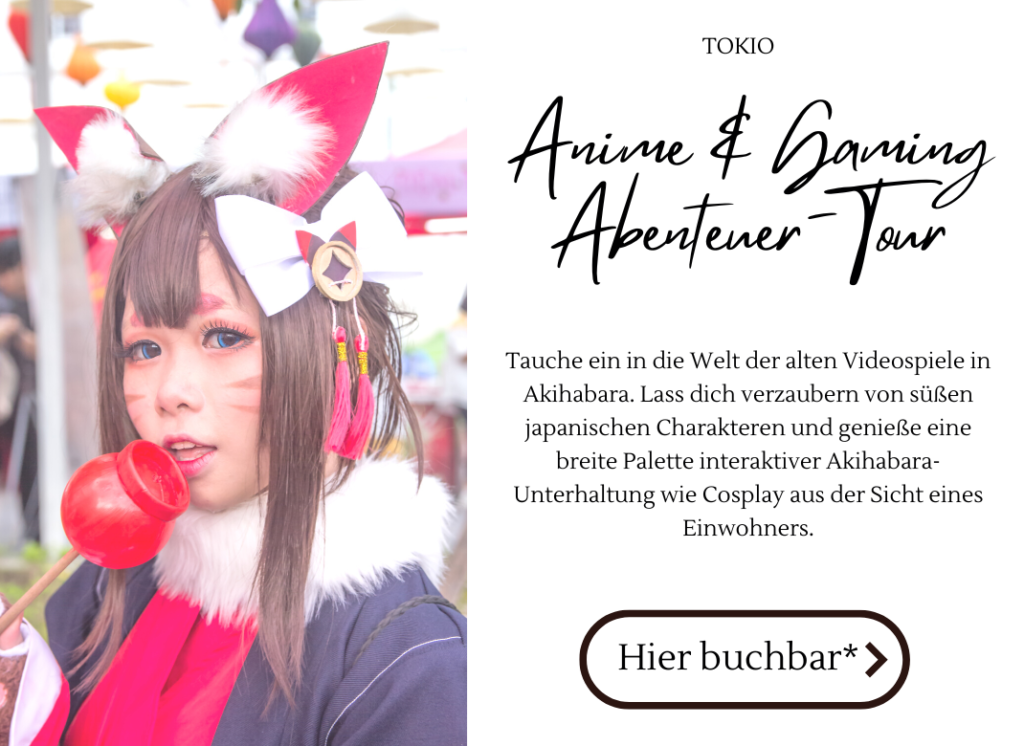 Akihabara Tokio Tour Zocken Anime Tour buchen