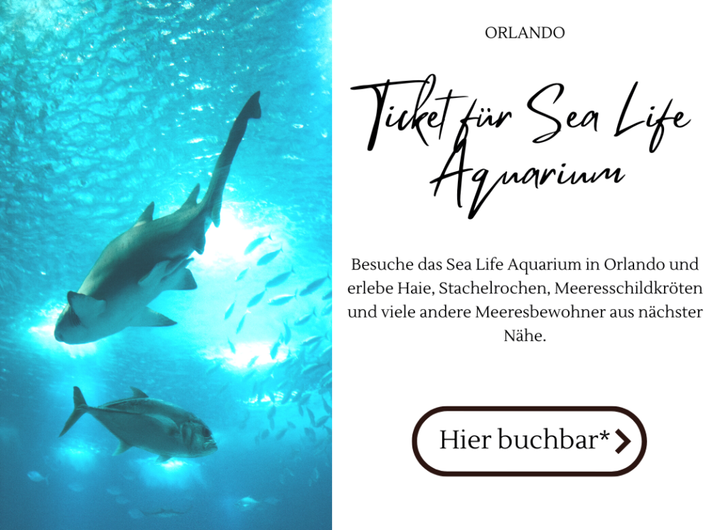 Tickets Sea Life Orlando Florida vorab online kaufen