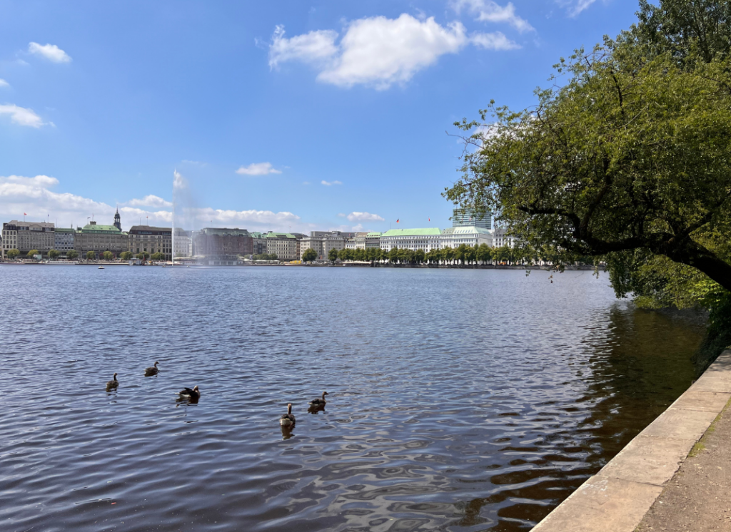 Die Hamburger Binnenalster mit Blick auf die Alsterfontäne, umgeben von eleganten Gebäuden und grünen Uferpromenaden