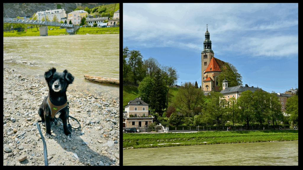Panoramablick auf die Salzburger Altstadt mit Festung Hohensalzburg und Salzach im Vordergrund
