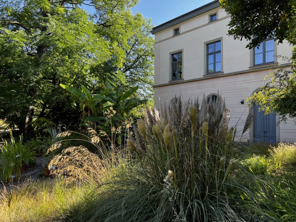 Botanischer-Garten-Leipzig-Gewächshäuser-Tropenhaus