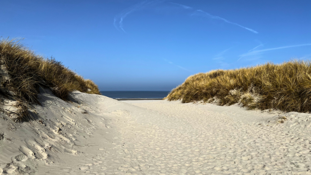 Juist: die schönste, autofreie Insel Deutschlands
